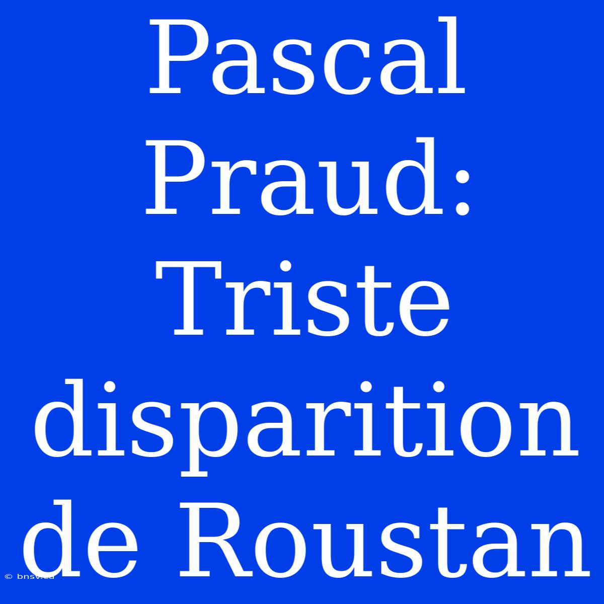 Pascal Praud:  Triste Disparition De Roustan