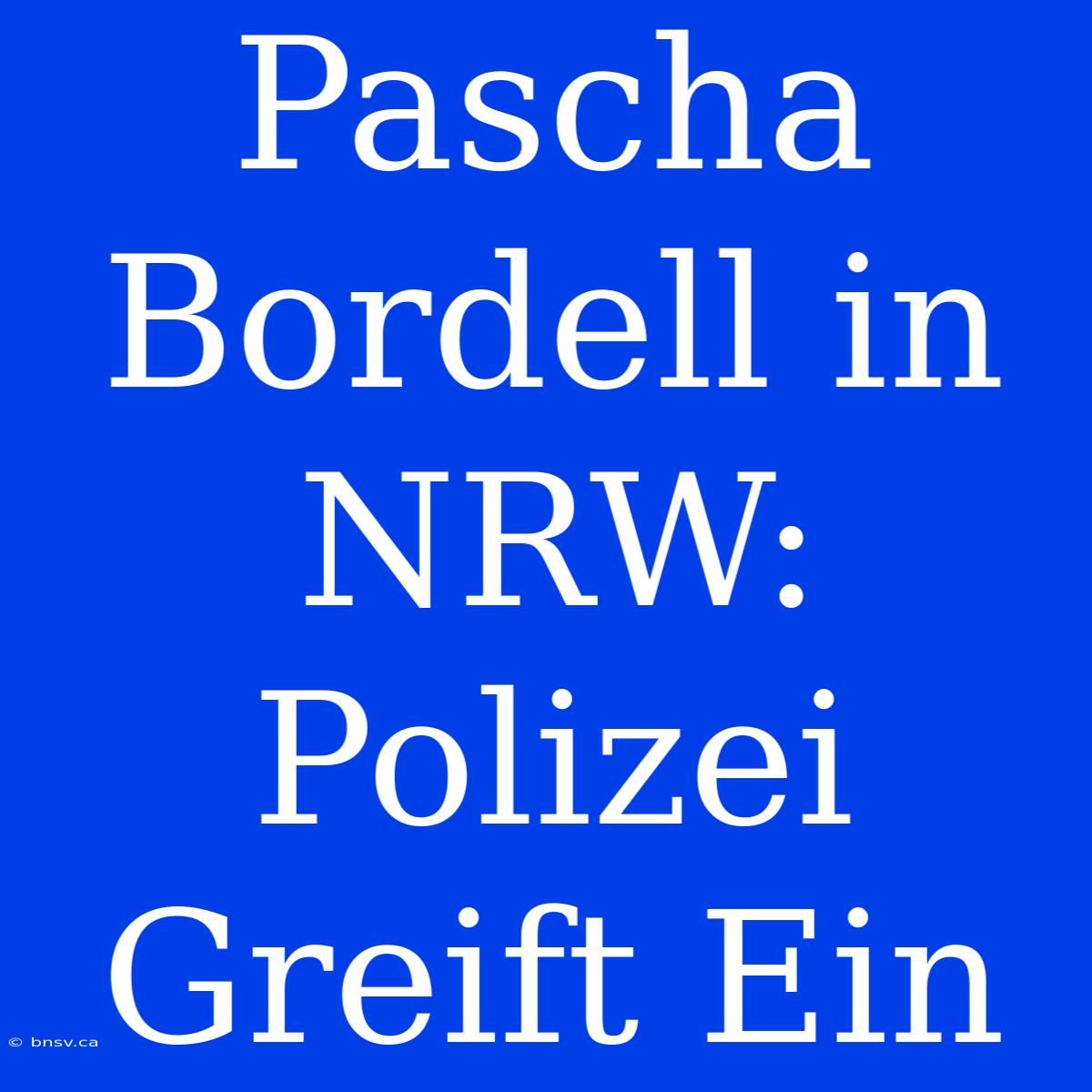 Pascha Bordell In NRW: Polizei Greift Ein