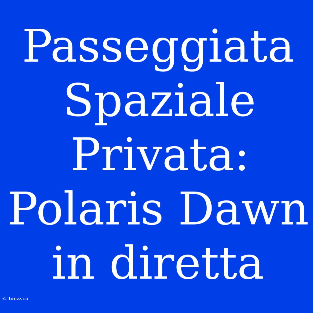 Passeggiata Spaziale Privata: Polaris Dawn In Diretta