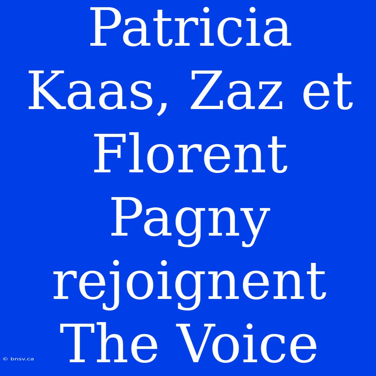 Patricia Kaas, Zaz Et Florent Pagny Rejoignent The Voice