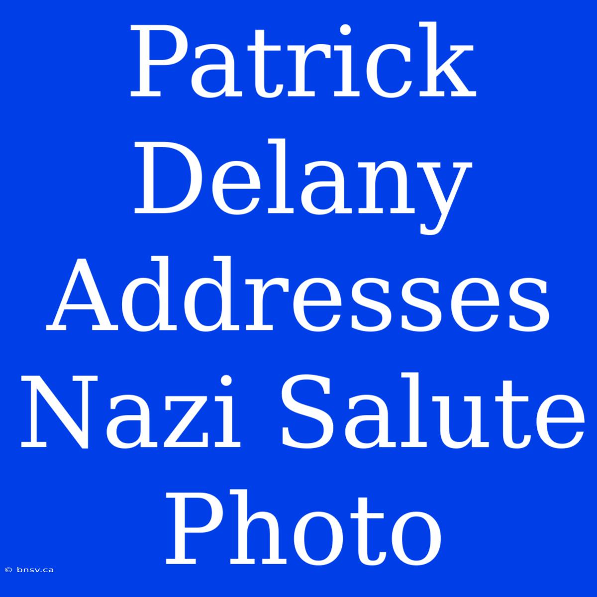 Patrick Delany Addresses Nazi Salute Photo