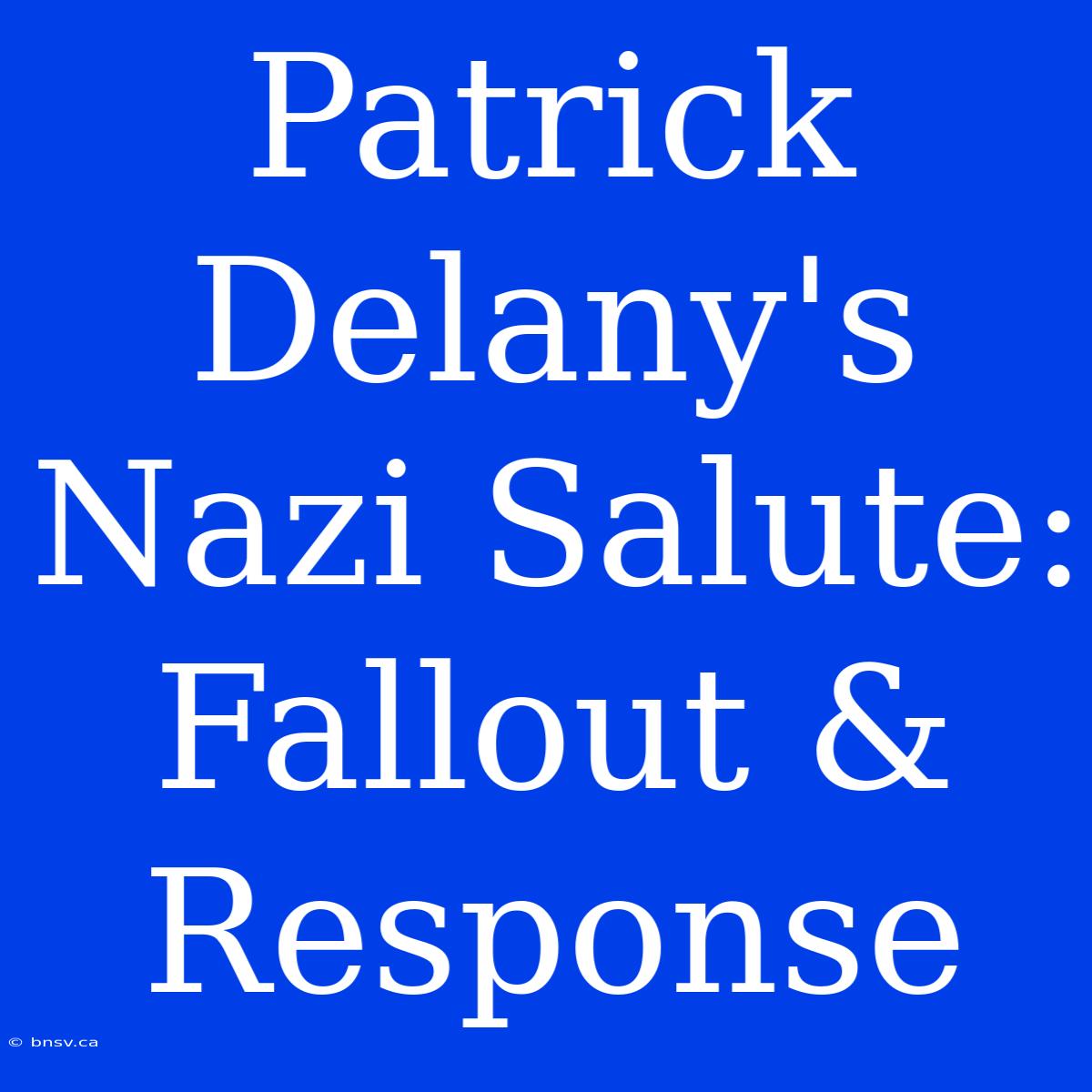 Patrick Delany's Nazi Salute: Fallout & Response