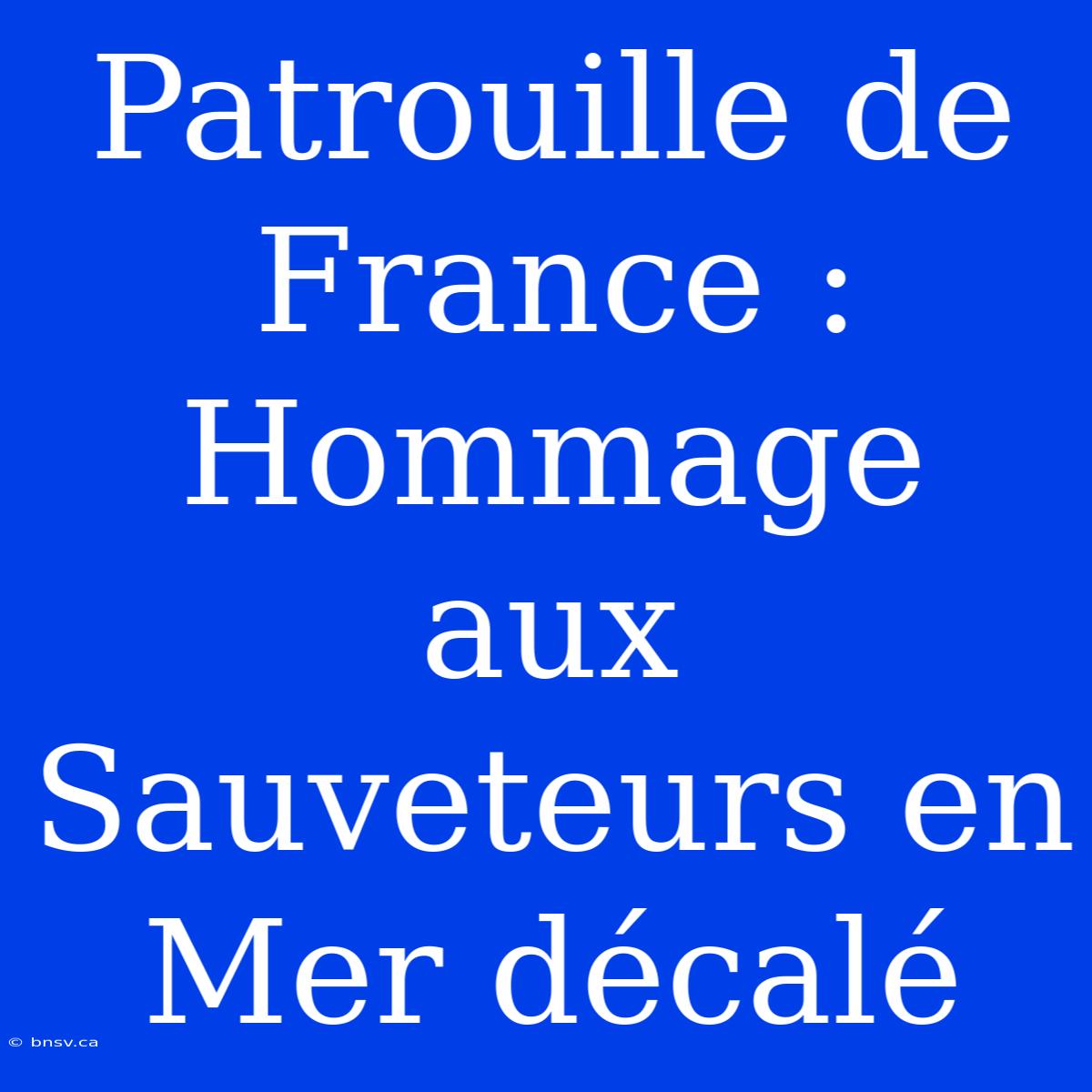 Patrouille De France : Hommage Aux Sauveteurs En Mer Décalé