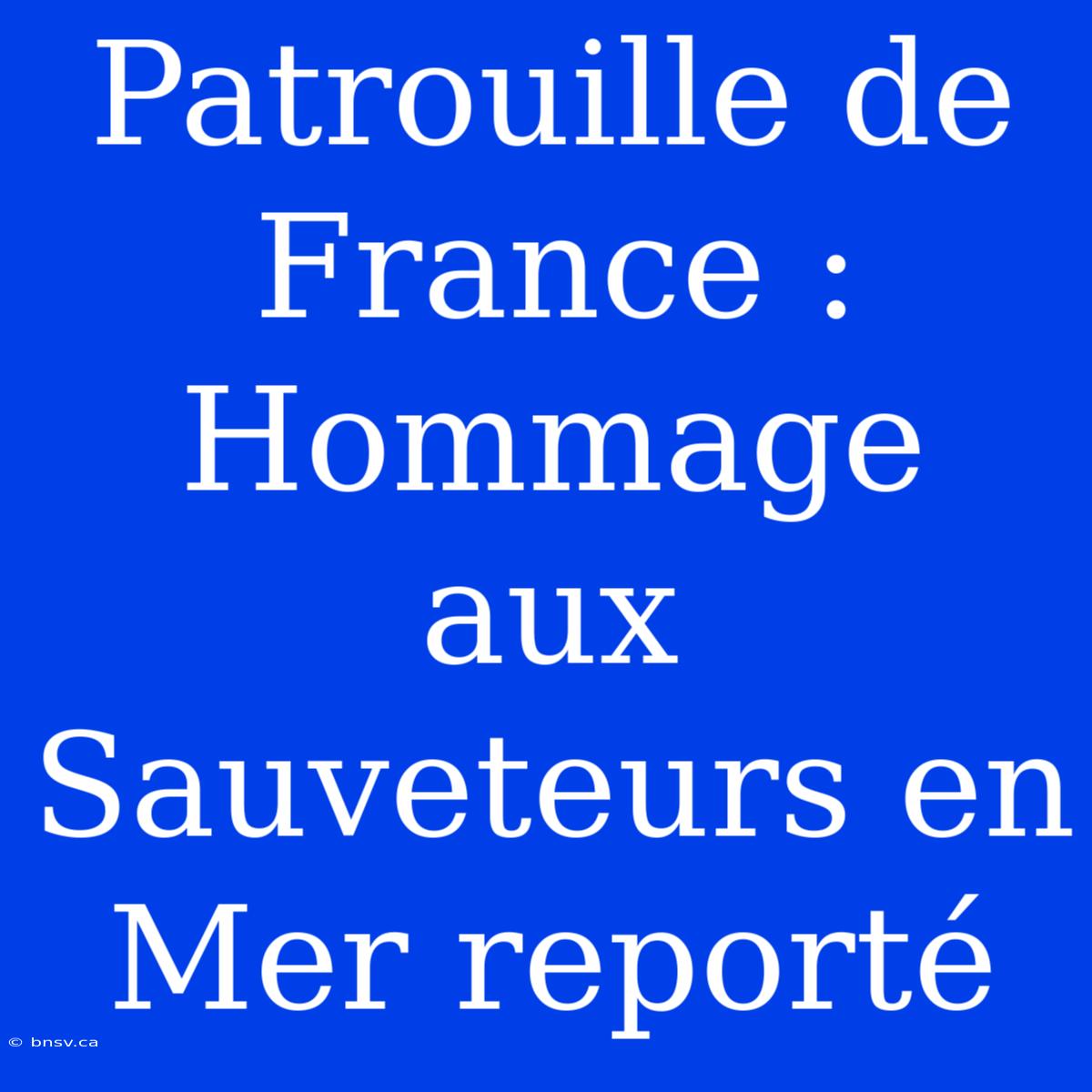 Patrouille De France : Hommage Aux Sauveteurs En Mer Reporté