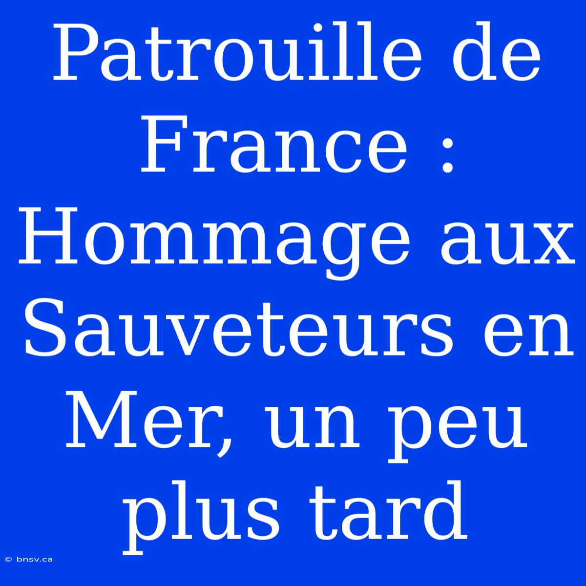 Patrouille De France : Hommage Aux Sauveteurs En Mer, Un Peu Plus Tard