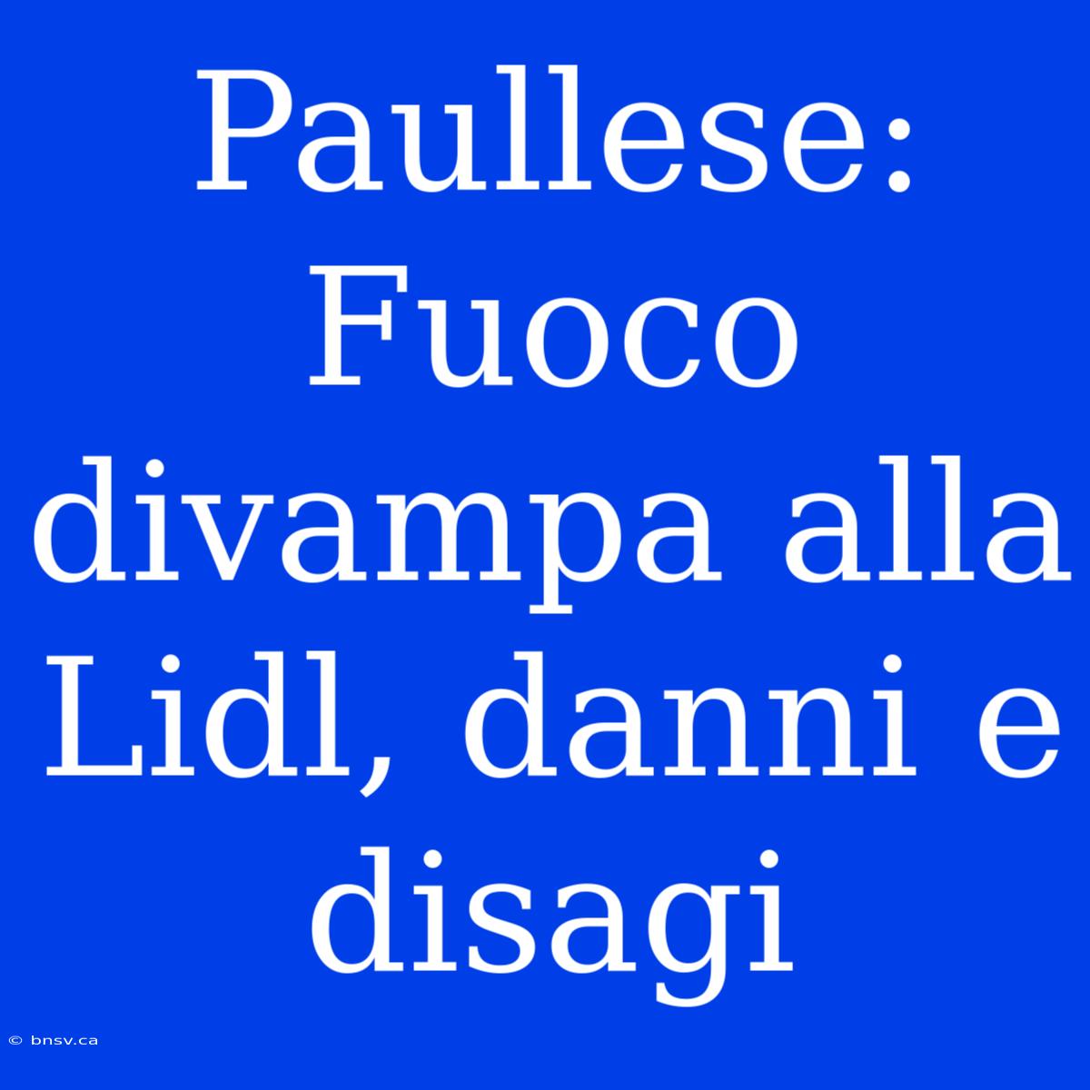 Paullese: Fuoco Divampa Alla Lidl, Danni E Disagi