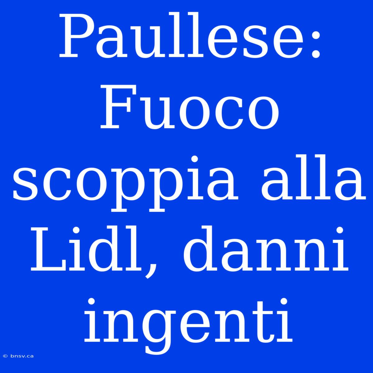 Paullese: Fuoco Scoppia Alla Lidl, Danni Ingenti