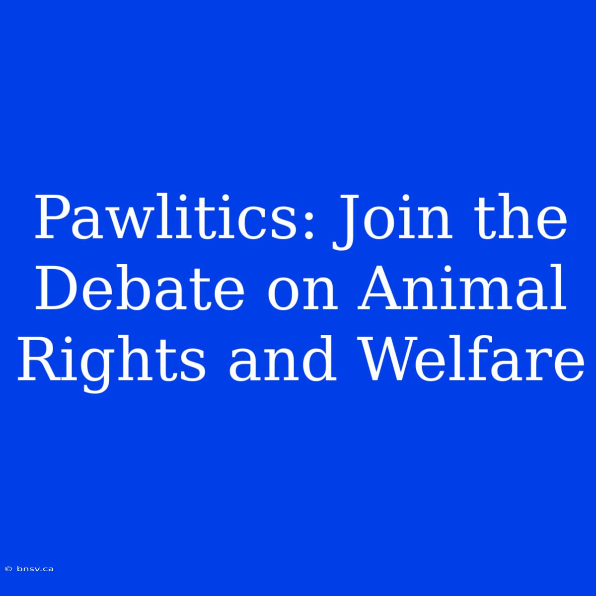 Pawlitics: Join The Debate On Animal Rights And Welfare