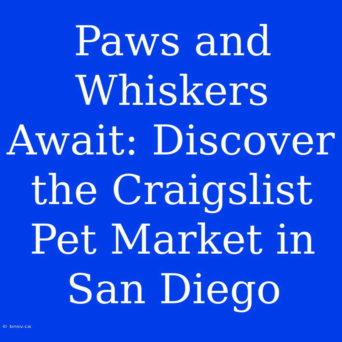 Paws And Whiskers Await: Discover The Craigslist Pet Market In San Diego