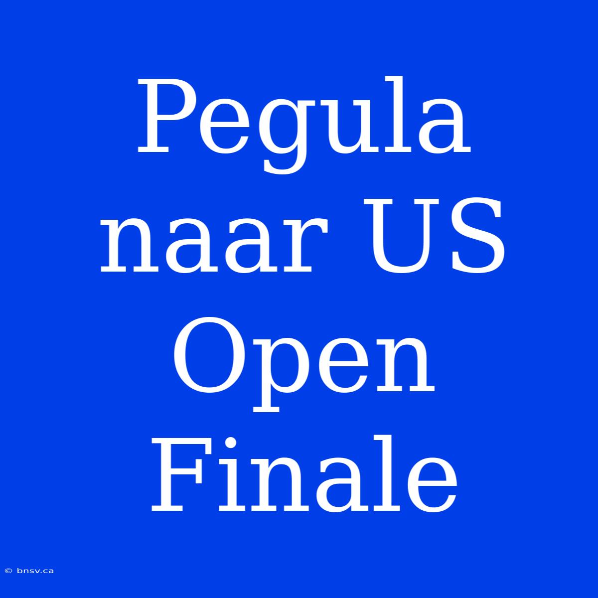 Pegula Naar US Open Finale