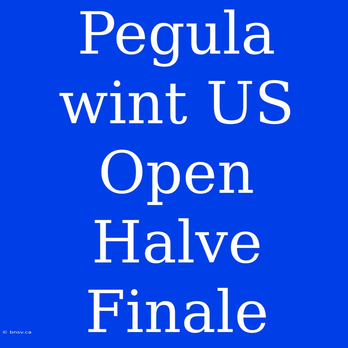 Pegula Wint US Open Halve Finale