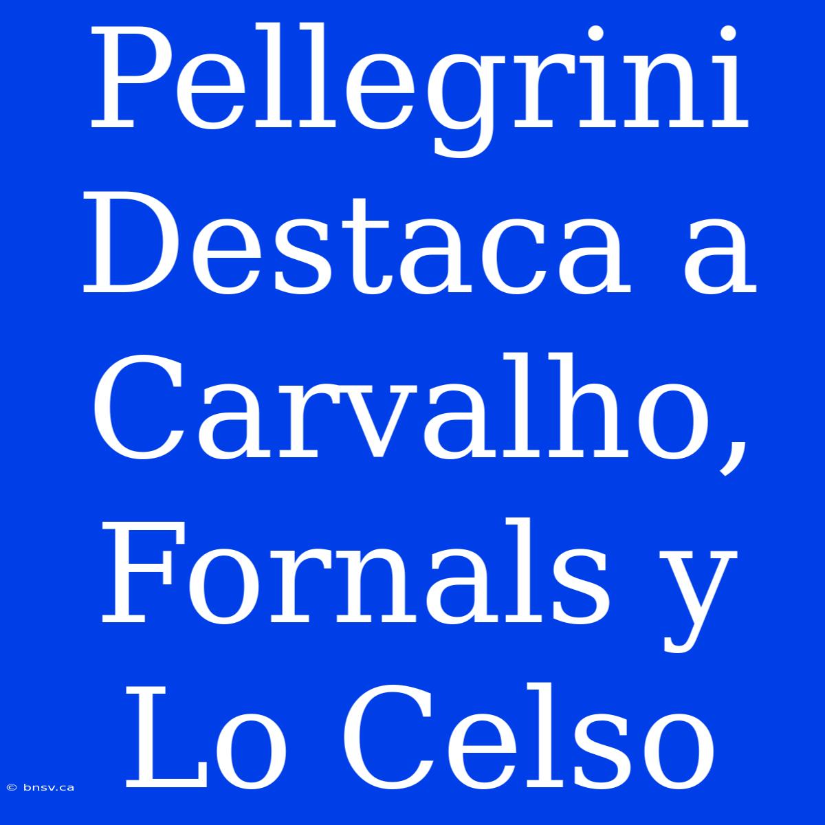 Pellegrini Destaca A Carvalho, Fornals Y Lo Celso