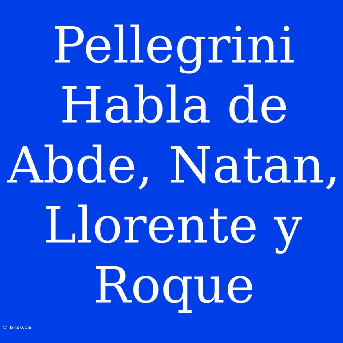 Pellegrini Habla De Abde, Natan, Llorente Y Roque