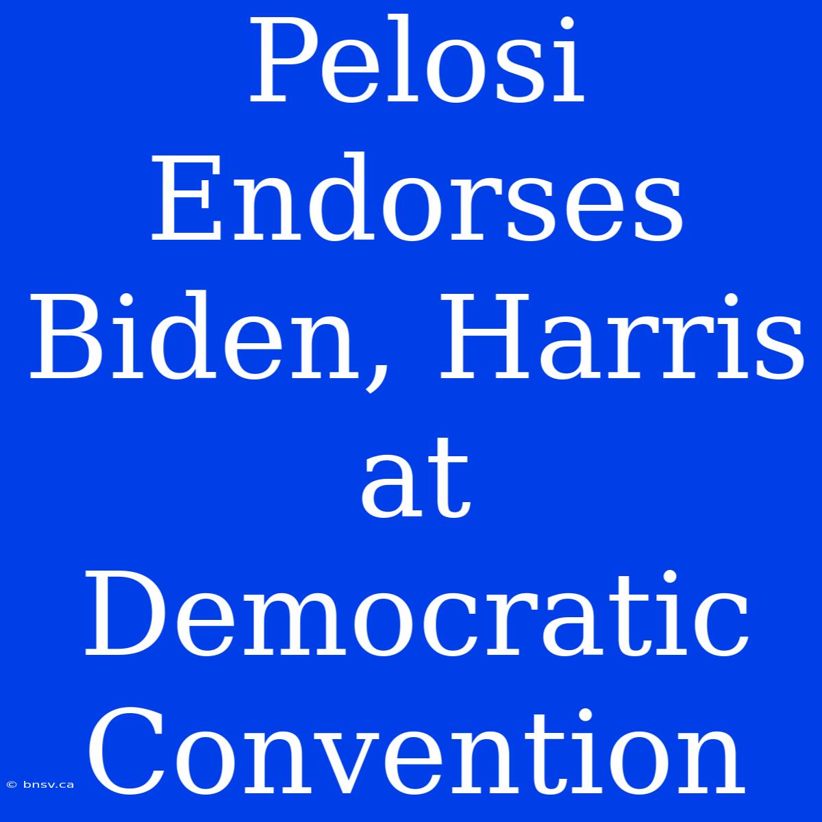 Pelosi Endorses Biden, Harris At Democratic Convention