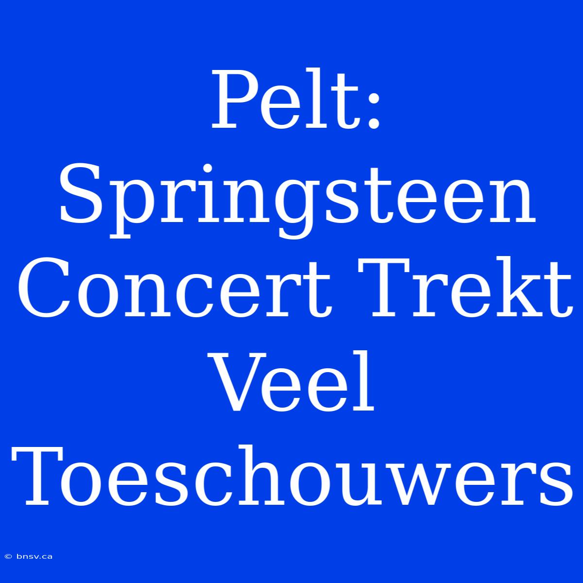 Pelt: Springsteen Concert Trekt Veel Toeschouwers