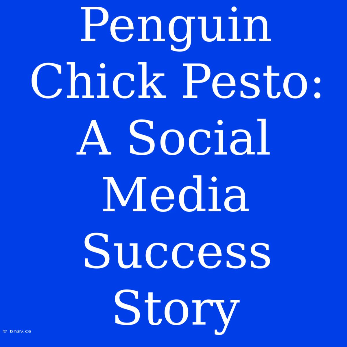 Penguin Chick Pesto: A Social Media Success Story