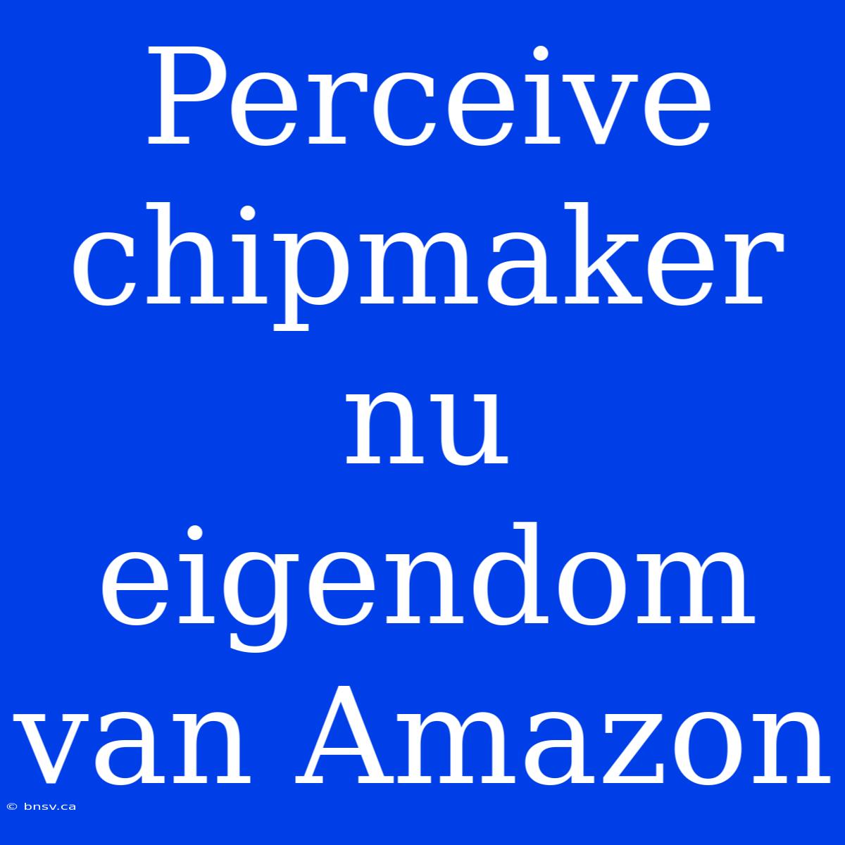 Perceive Chipmaker Nu Eigendom Van Amazon