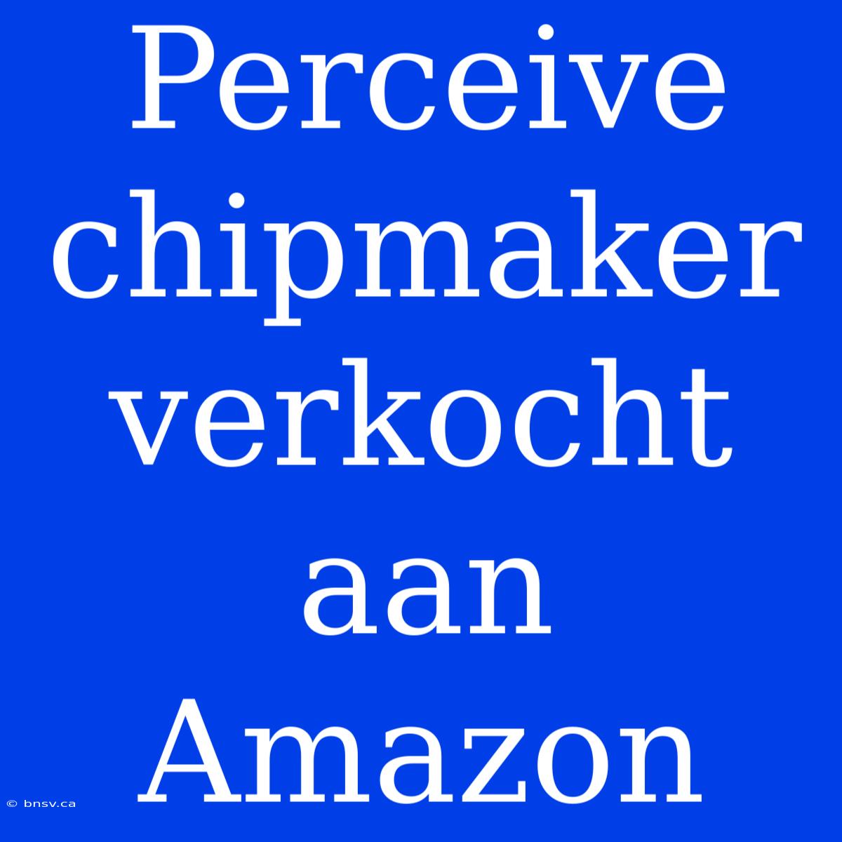 Perceive Chipmaker Verkocht Aan Amazon