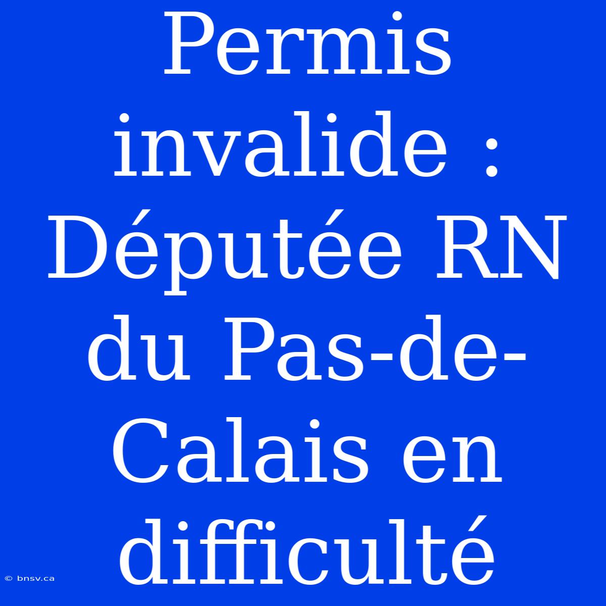 Permis Invalide : Députée RN Du Pas-de-Calais En Difficulté