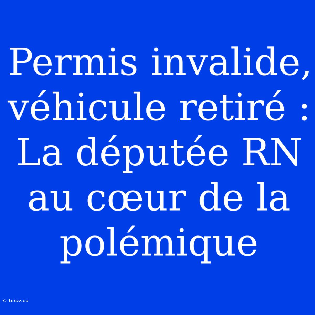 Permis Invalide, Véhicule Retiré : La Députée RN Au Cœur De La Polémique