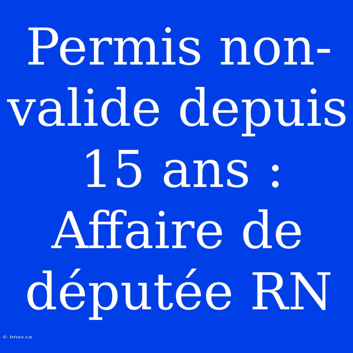 Permis Non-valide Depuis 15 Ans : Affaire De Députée RN