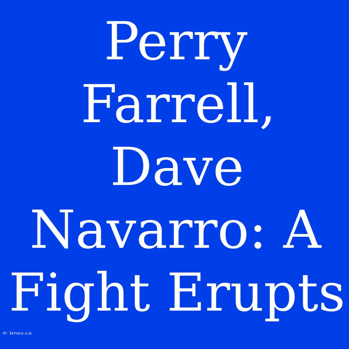 Perry Farrell, Dave Navarro: A Fight Erupts