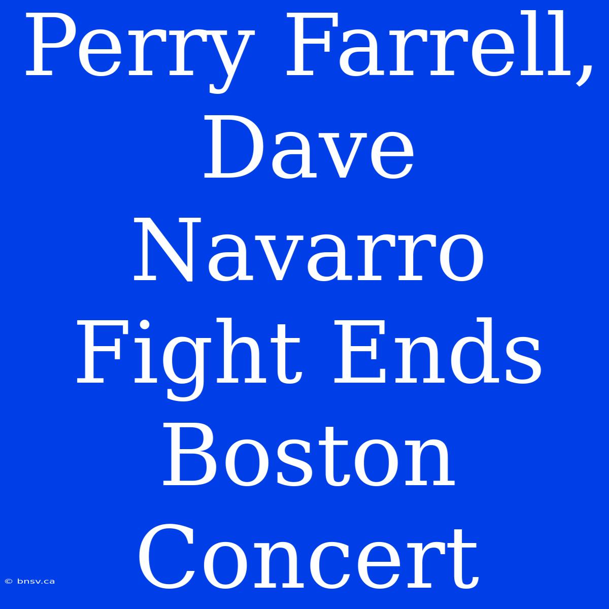 Perry Farrell, Dave Navarro Fight Ends Boston Concert