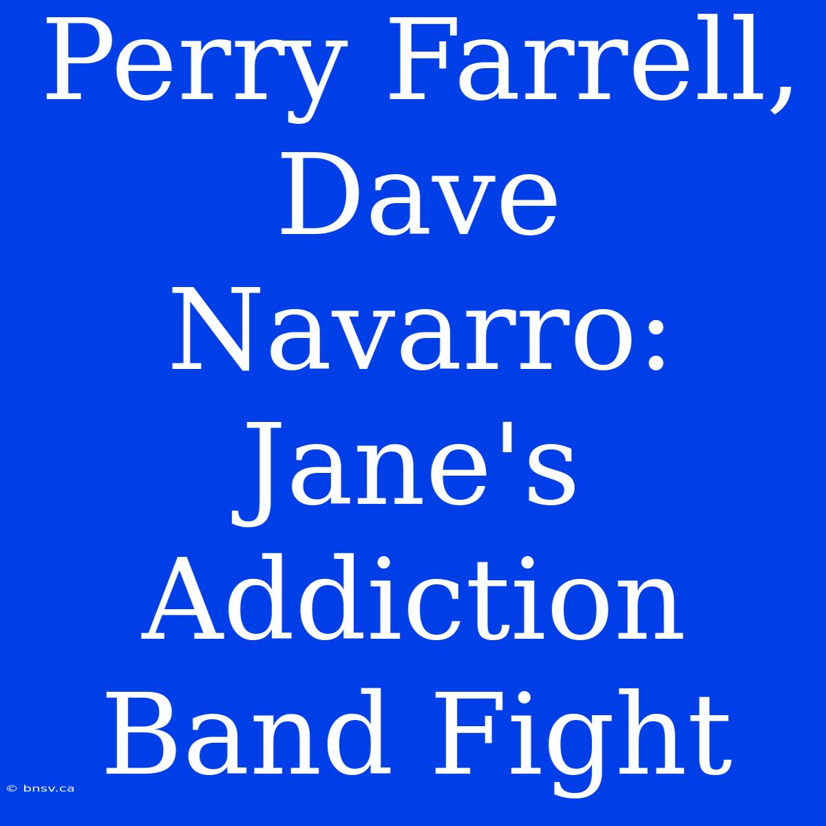 Perry Farrell, Dave Navarro: Jane's Addiction Band Fight