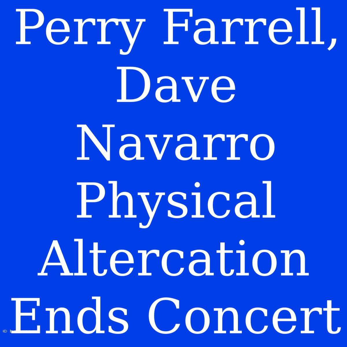 Perry Farrell, Dave Navarro Physical Altercation Ends Concert