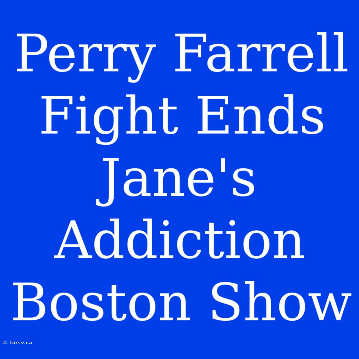 Perry Farrell Fight Ends Jane's Addiction Boston Show