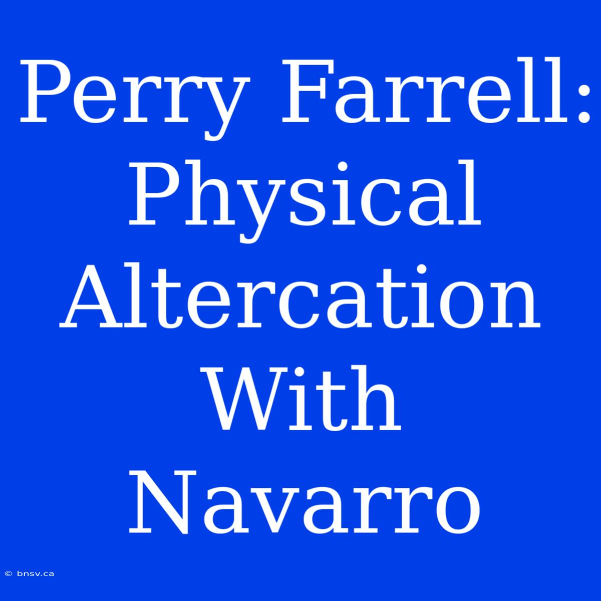 Perry Farrell: Physical Altercation With Navarro