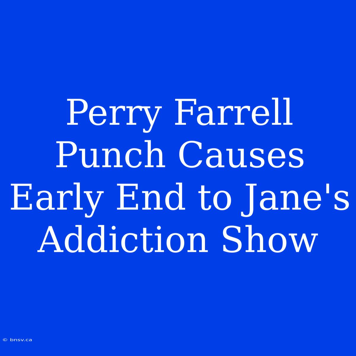 Perry Farrell Punch Causes Early End To Jane's Addiction Show