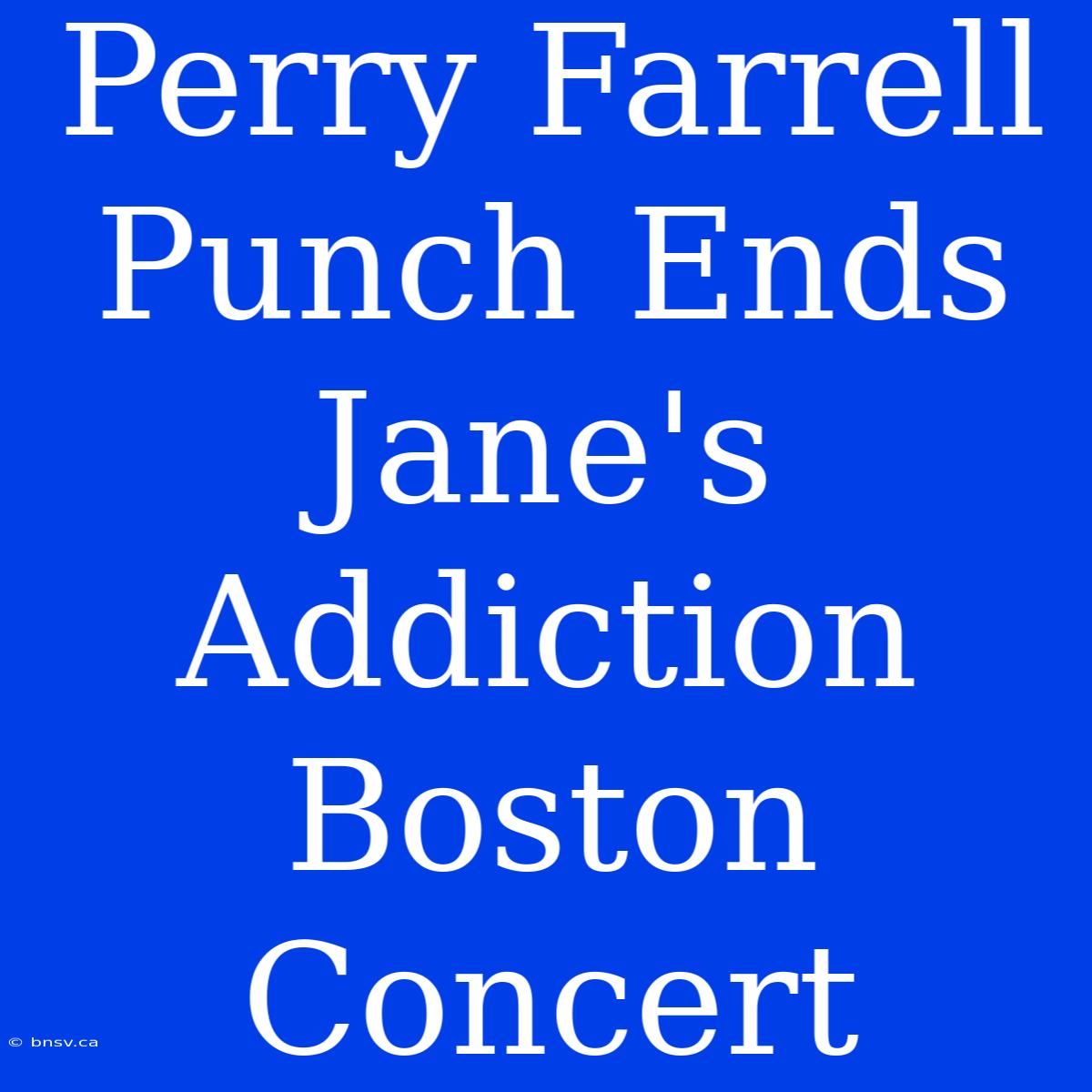 Perry Farrell Punch Ends Jane's Addiction Boston Concert