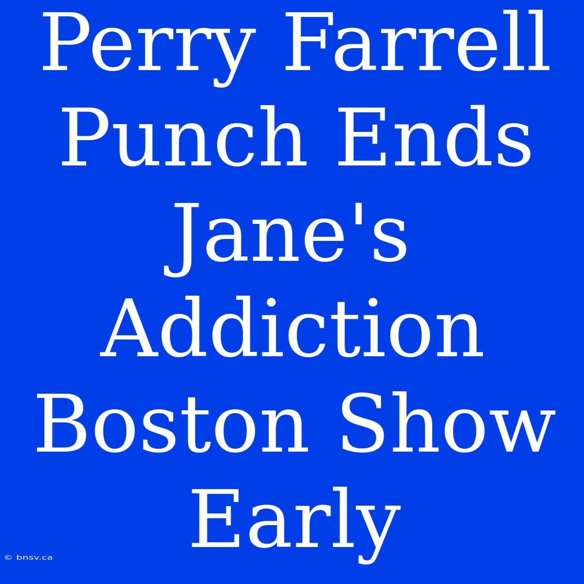 Perry Farrell Punch Ends Jane's Addiction Boston Show Early