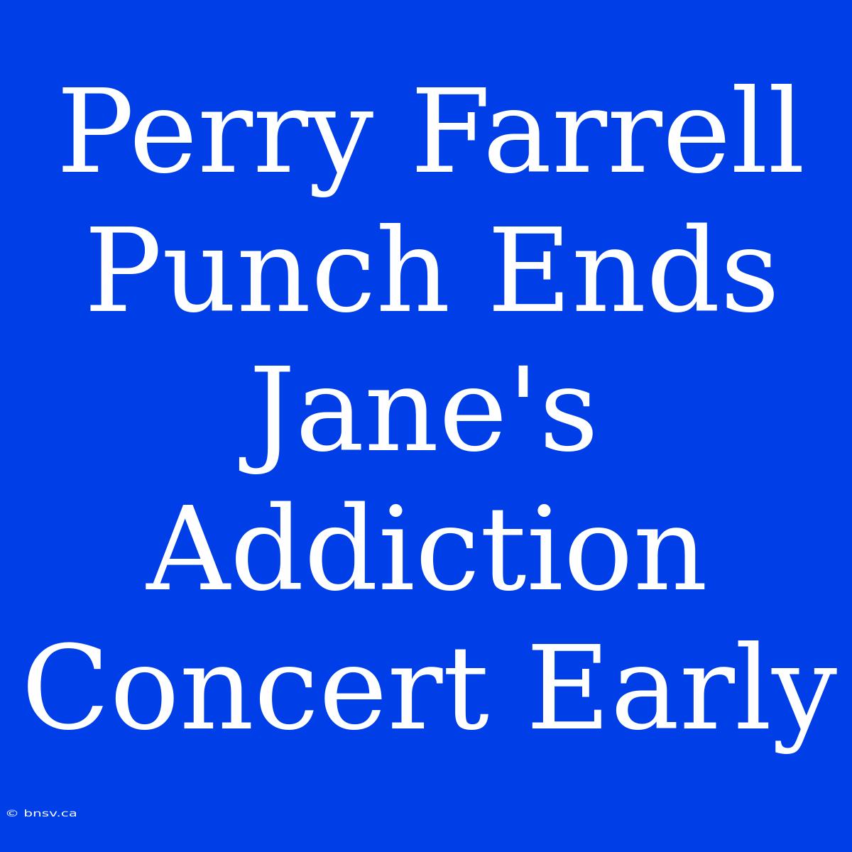 Perry Farrell Punch Ends Jane's Addiction Concert Early