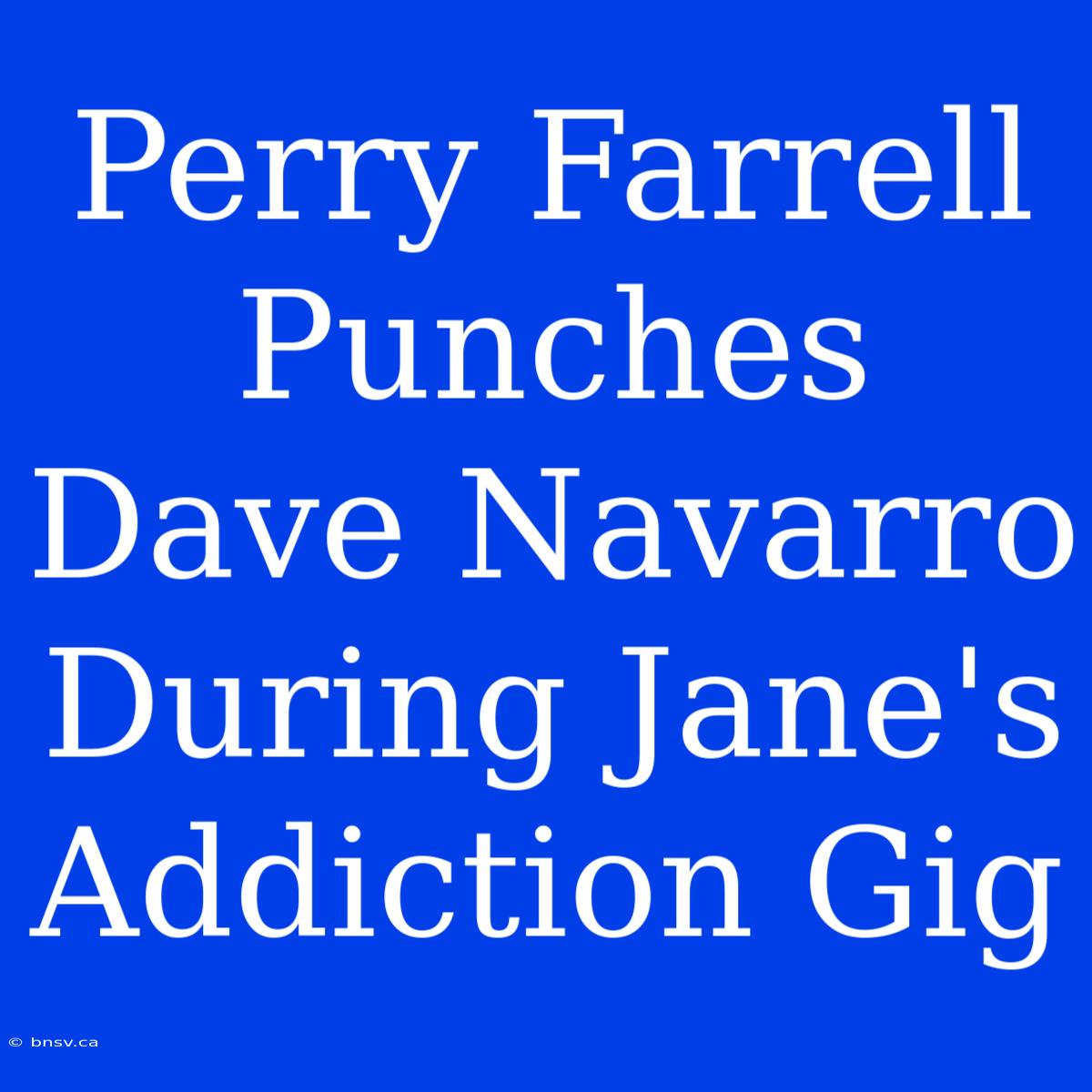 Perry Farrell Punches Dave Navarro During Jane's Addiction Gig