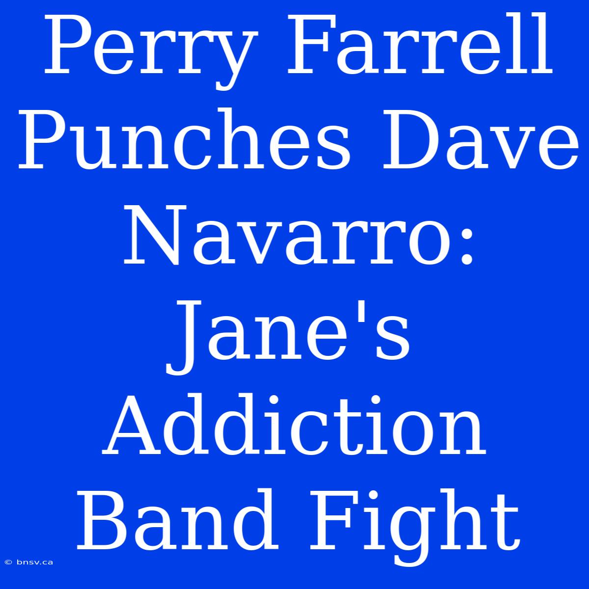 Perry Farrell Punches Dave Navarro: Jane's Addiction Band Fight