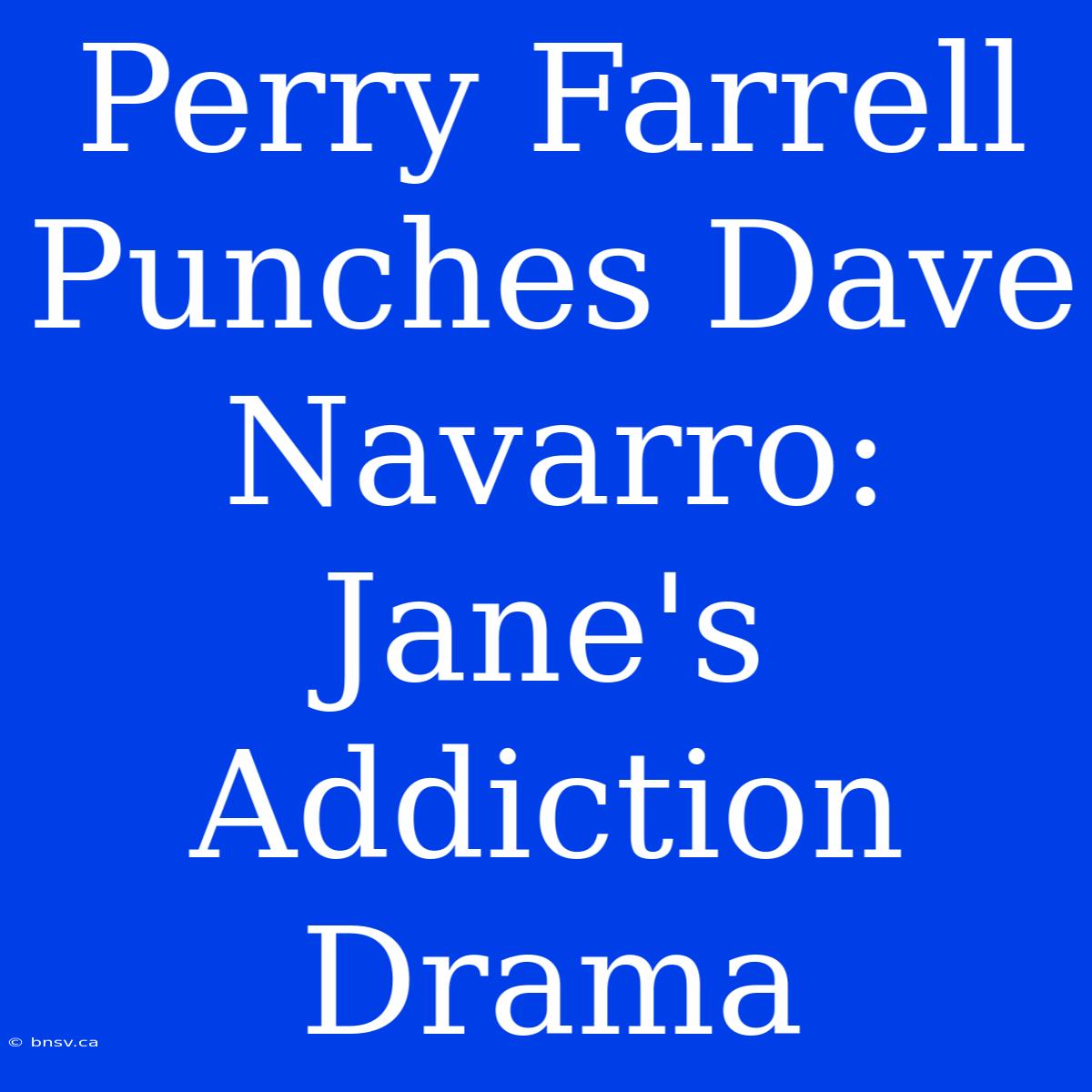 Perry Farrell Punches Dave Navarro: Jane's Addiction Drama