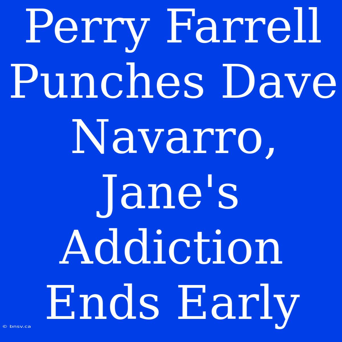 Perry Farrell Punches Dave Navarro, Jane's Addiction Ends Early