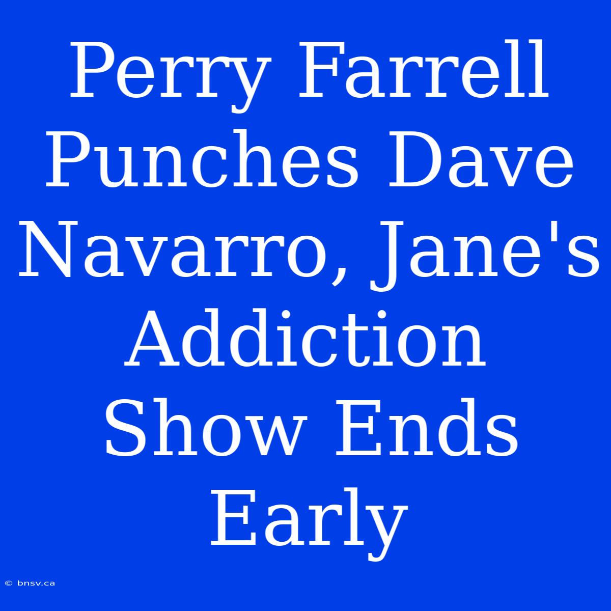 Perry Farrell Punches Dave Navarro, Jane's Addiction Show Ends Early