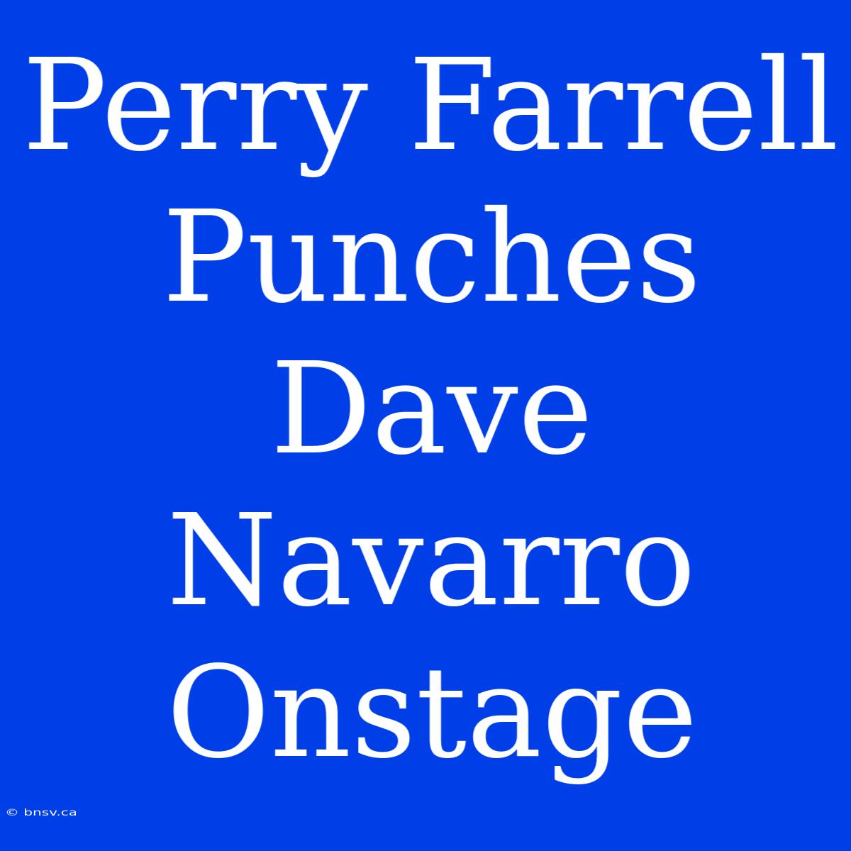 Perry Farrell Punches Dave Navarro Onstage