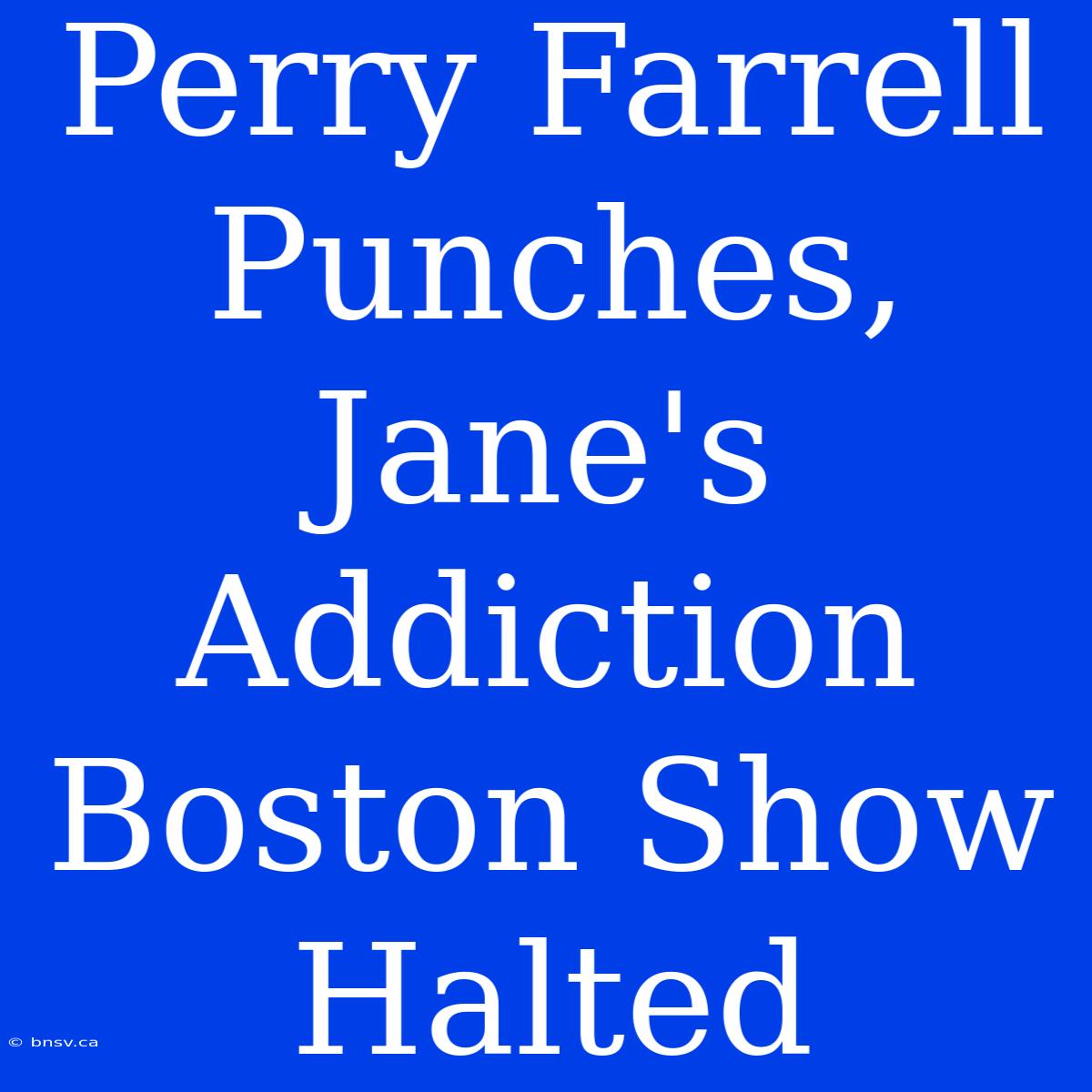 Perry Farrell Punches, Jane's Addiction Boston Show Halted