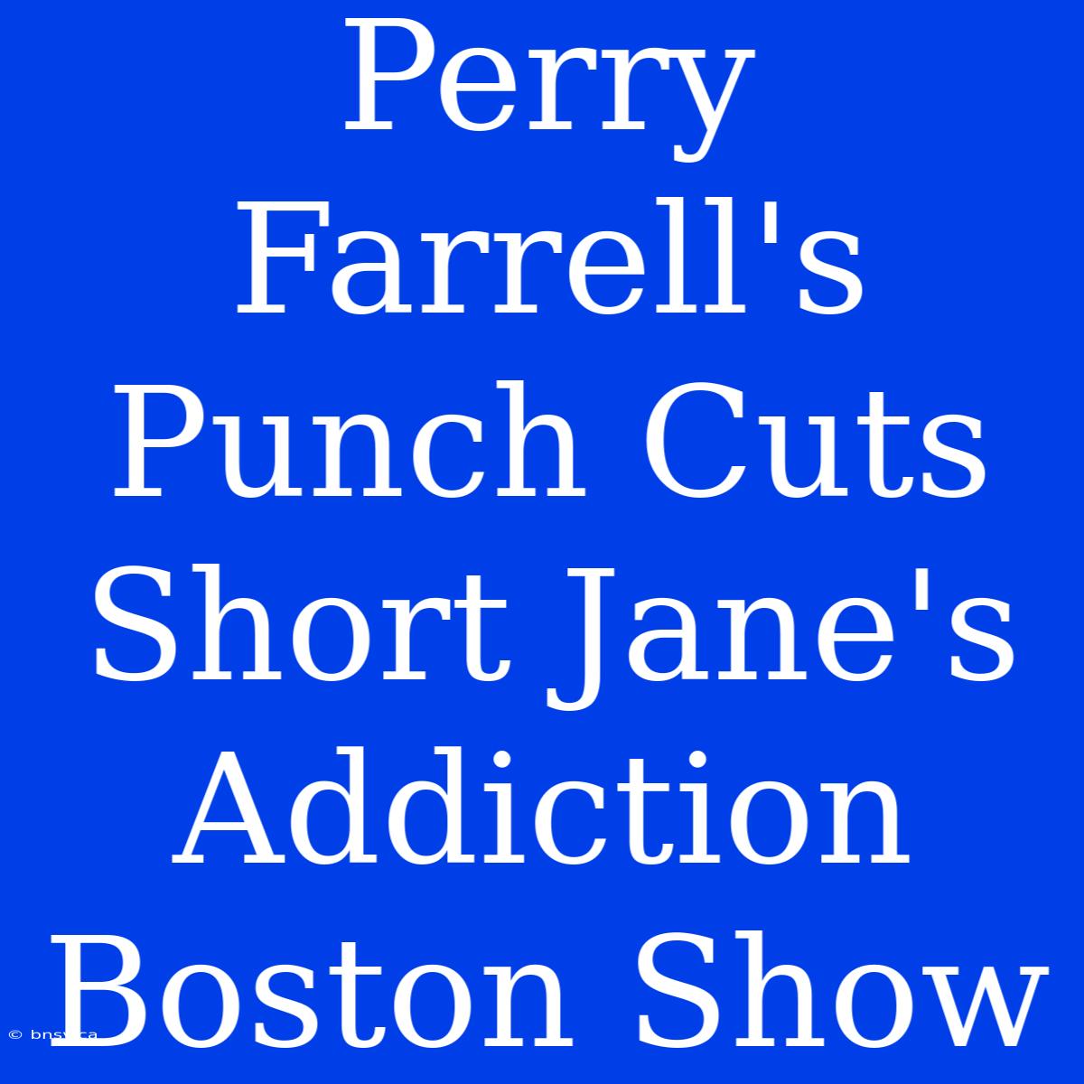 Perry Farrell's Punch Cuts Short Jane's Addiction Boston Show