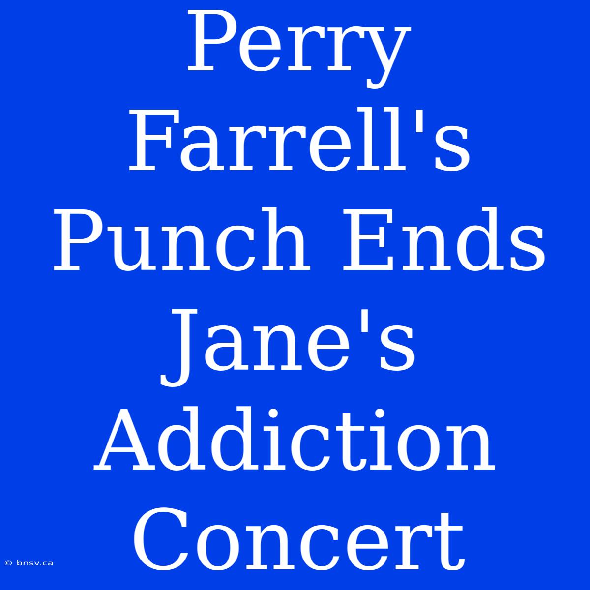 Perry Farrell's Punch Ends Jane's Addiction Concert