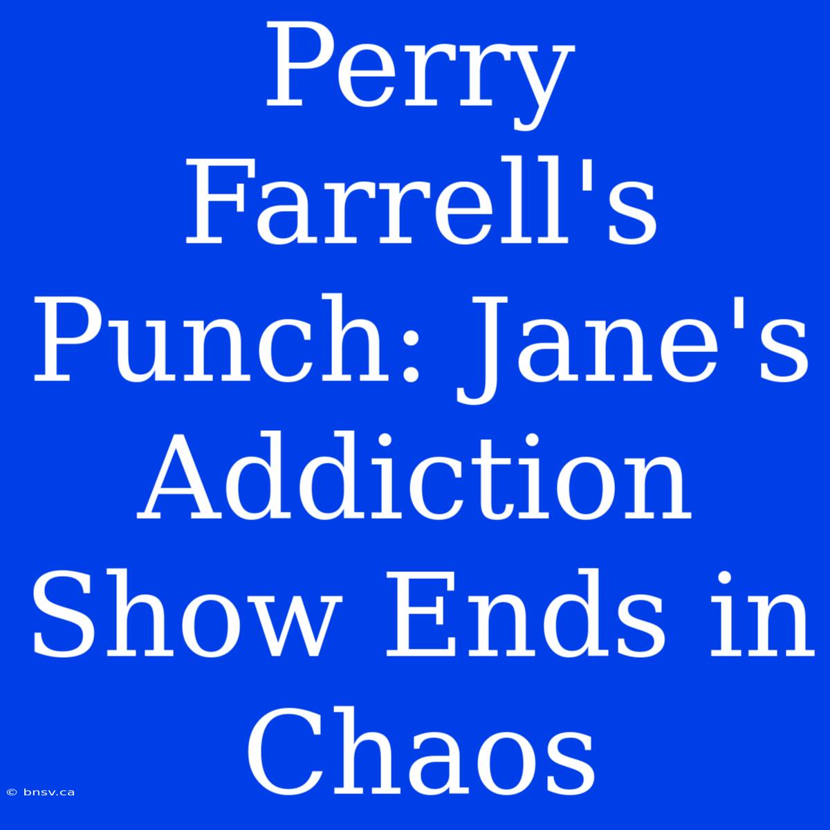 Perry Farrell's Punch: Jane's Addiction Show Ends In Chaos