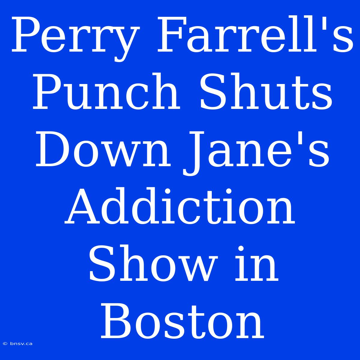 Perry Farrell's Punch Shuts Down Jane's Addiction Show In Boston