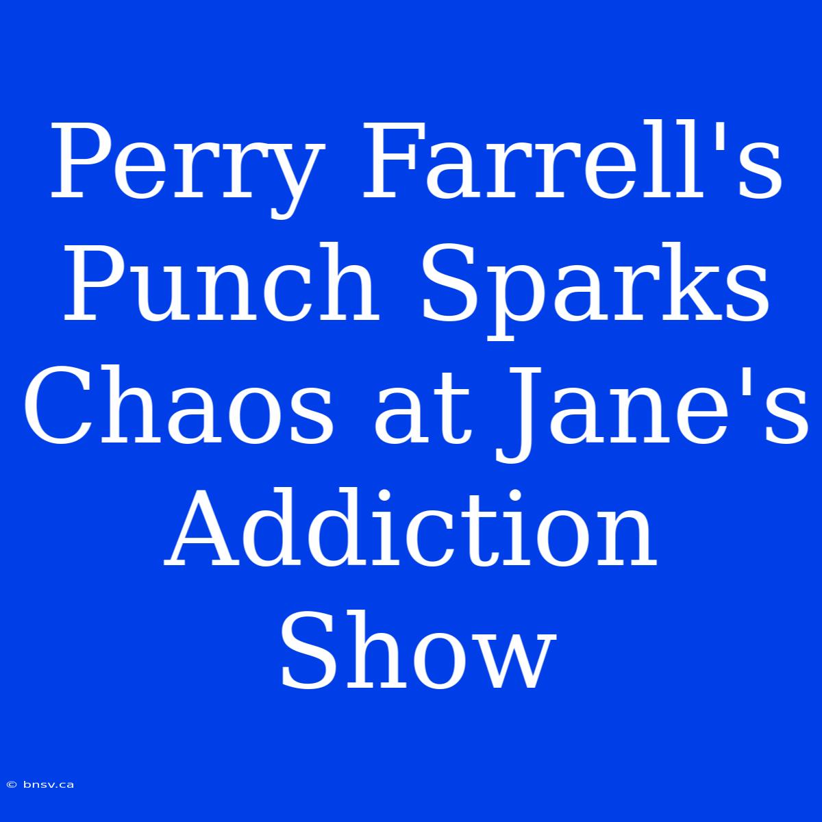 Perry Farrell's Punch Sparks Chaos At Jane's Addiction Show