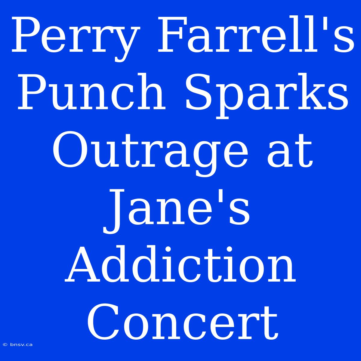 Perry Farrell's Punch Sparks Outrage At Jane's Addiction Concert