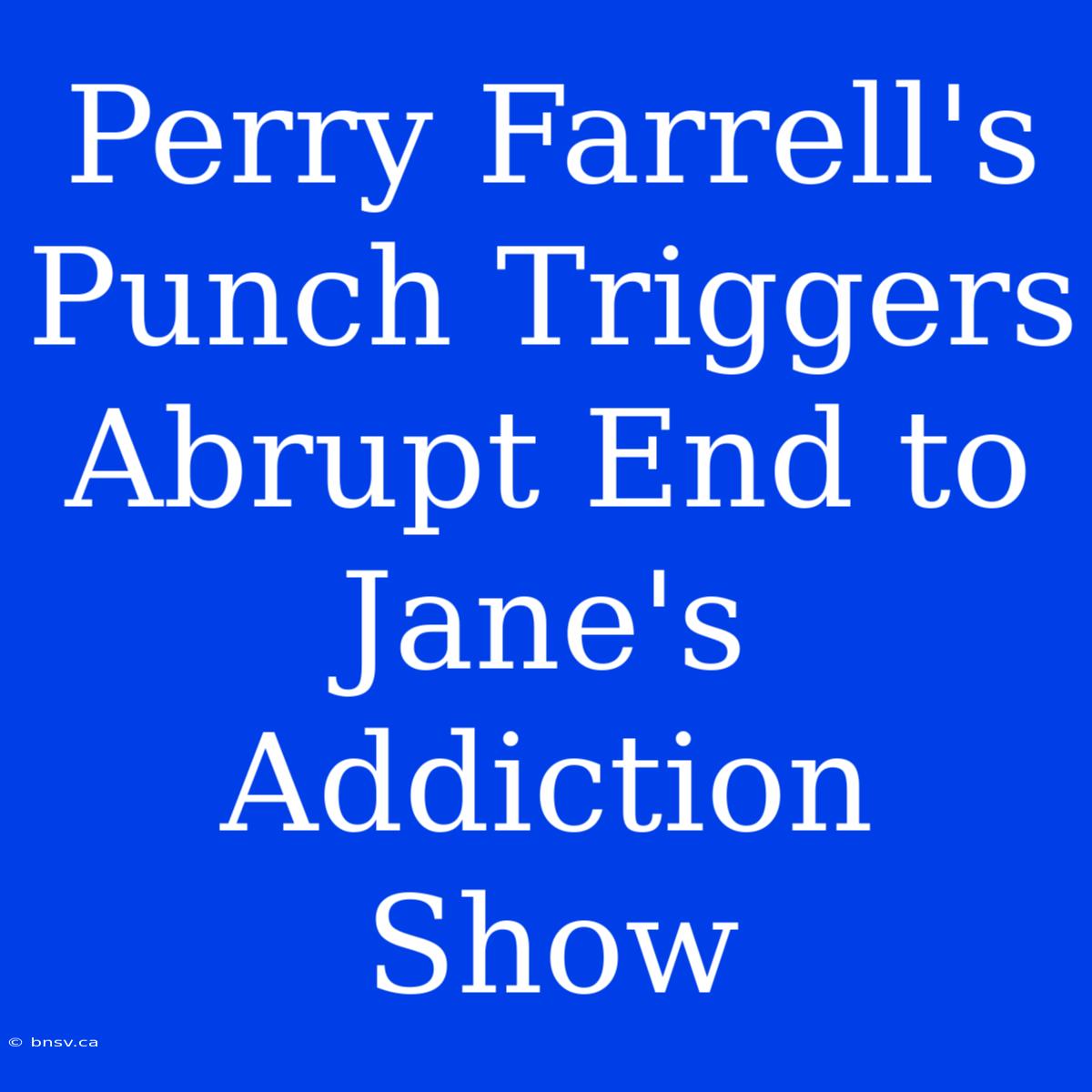 Perry Farrell's Punch Triggers Abrupt End To Jane's Addiction Show