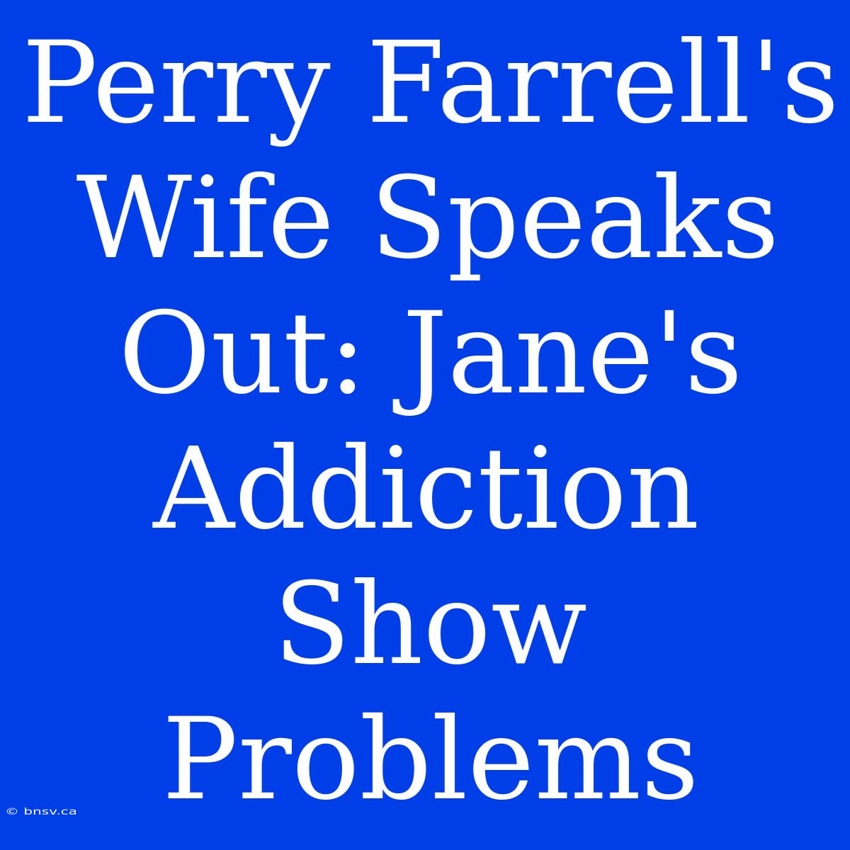 Perry Farrell's Wife Speaks Out: Jane's Addiction Show Problems